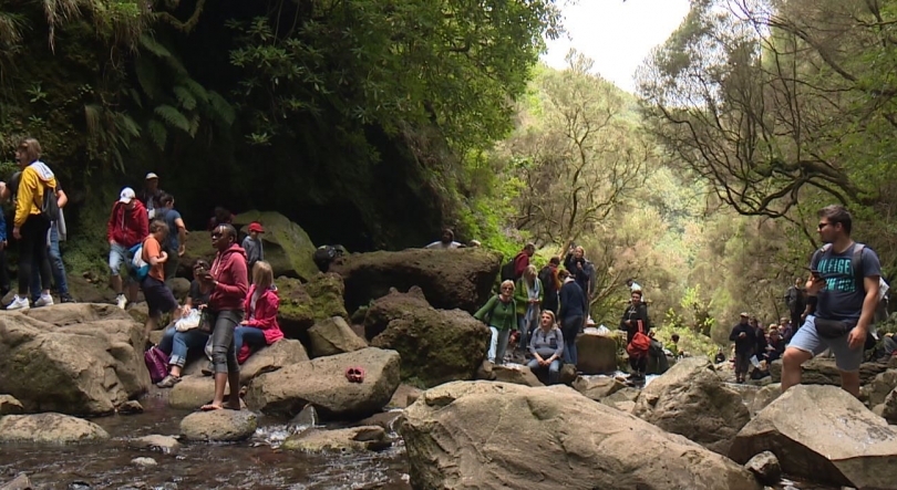 Imagem de Madeira distinguida como o melhor destino de turismo