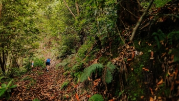 Imagem de Perto de 800 atletas participam no Ultra Skyrunning Madeira (áudio)