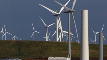 Imagem de Vento garante 25% do consumo elétrico em Portugal