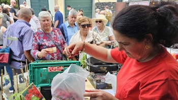 Imagem de Governo espera uma recuperação na produção de cerejas (áudio)