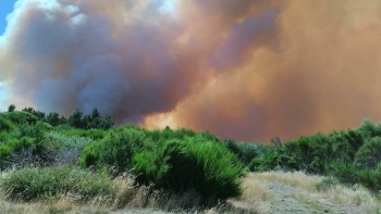 Imagem de Risco de incêndios florestais e rurais poderá ser maior este verão (áudio)
