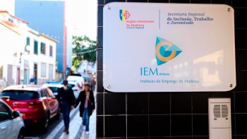 Imagem de Madeira foi a região que registou o maior recuo homólogo no número de desempregados