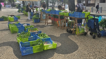 Imagem de Produtores de agricultura biológica pedem mais condições (áudio)