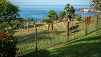 Imagem de Funchal tem um novo parque para cães (vídeo)