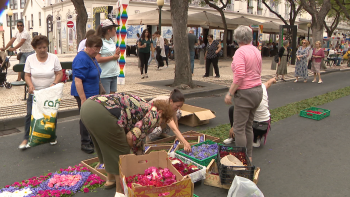Imagem de Centenas de fiéis juntaram-se para fazer os tapetes de flores (vídeo)