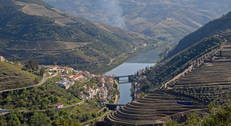 Imagem de Douro reduz produção de vinho do Porto para as 75 mil pipas