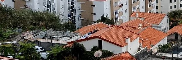 Imagem de Jovem detido por bater na avó de 88 anos