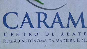 Imagem de Trabalhadores do Centro de Abate avançam para greve (vídeo)