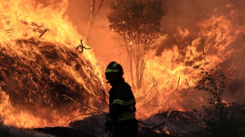 Imagem de Dia de hoje foi o que teve mais fogos rurais em 2025
