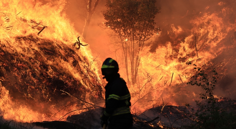 Imagem de Dia de hoje foi o que teve mais fogos rurais em 2025