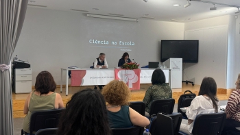 Imagem de Sindicato Democrático dos Professores quer valorização da carreira docente (vídeo)