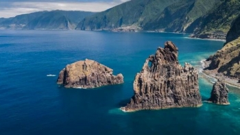Imagem de Campanha no mar do Norte descobre Coral Negro (áudio)