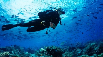 Imagem de Mergulhador-turista morreu ao largo do Cabo Espichel