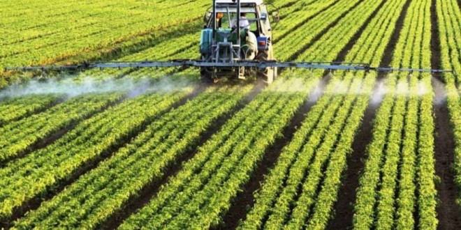 Imagem de Jovens Agricultores criticam Política Agrícola Comum