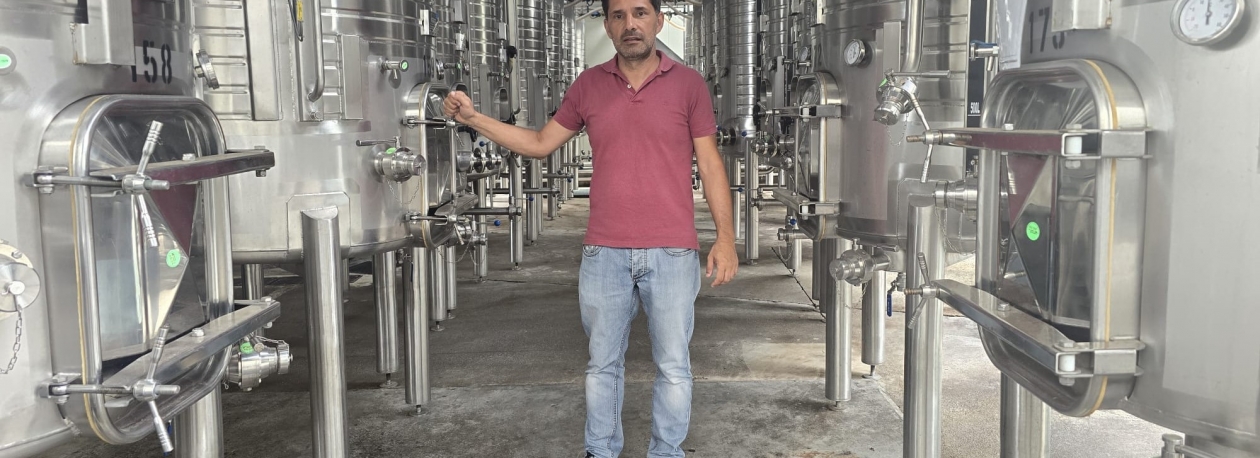Imagem de Casas de Vinho vão comprar menos uvas este ano (áudio)
