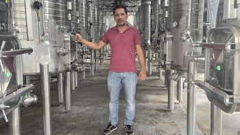 Imagem de Casas de Vinho vão comprar menos uvas este ano (áudio)