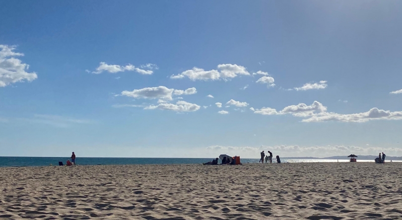 Imagem de Praias algarvias vão ser fiscalizadas a partir da próxima semana