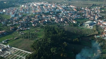 Imagem de Comissão Europeia processa Portugal por falhas na área do ambiente