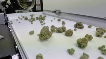 Imagem de Droga vendida na Madeira em lojas legais (vídeo)