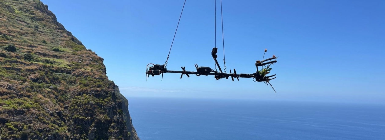 Imagem de Drone faz colheita de plantas raras em ravinas na Madeira