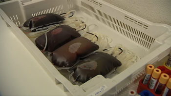 Imagem de Cirurgias adiadas por falta de sangue (vídeo)