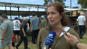 Imagem de PS lamenta que a Feira do Gado seja um palco de propaganda do Governo Regional (vídeo)