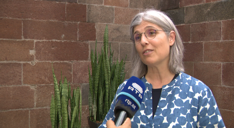 Imagem de Processo de beatificação da irmã Lúcia entrou numa outra fase (vídeo)