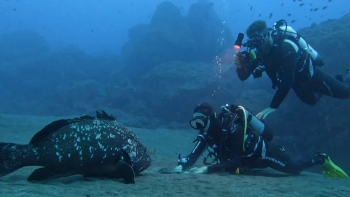 Imagem de Turismo no fundo do mar (vídeo)