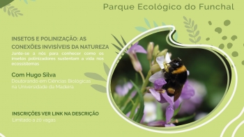 Imagem de Polinização é essencial à vida humana (áudio)
