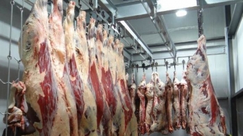 Imagem de CARAM abateu 60 animais e entregou a carne fresca