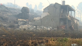 Imagem de Advogados voluntários para as vítimas dos incêndios (vídeo)