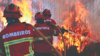Imagem de Mais de 3.200 operacionais combatiam nove incêndios