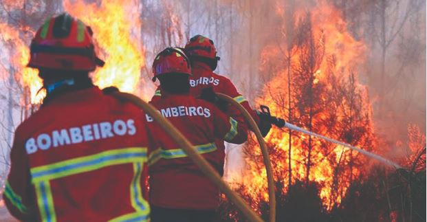 Imagem de Mais de 3.200 operacionais combatiam nove incêndios