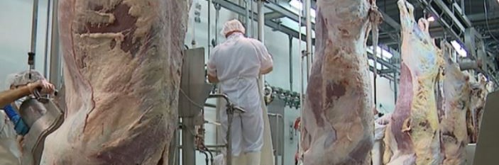 Imagem de Governo declara interesse público nos serviços mínimos no CARAM