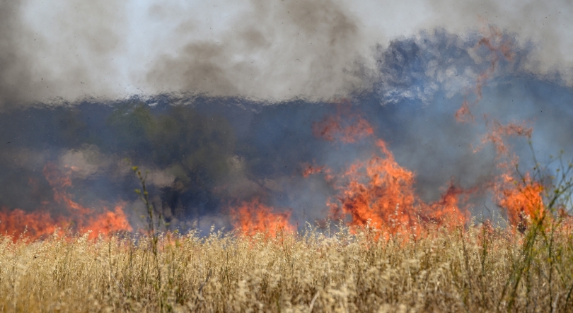 Imagem de Maior incêndio florestal em França desde 1949 continua ativo