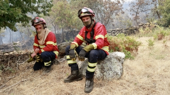 Imagem de Cerca de 1.700 operacionais combatiam incêndios mais preocupantes pelas 04h15