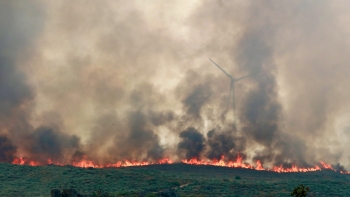 Imagem de Perto de 1.200 operacionais combatem os três fogos mais preocupantes no país