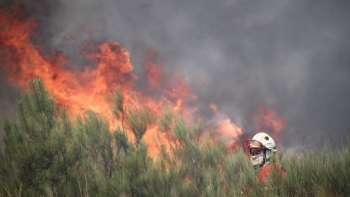 Imagem de Imigrantes integrados no combate ao fogo no interior do país