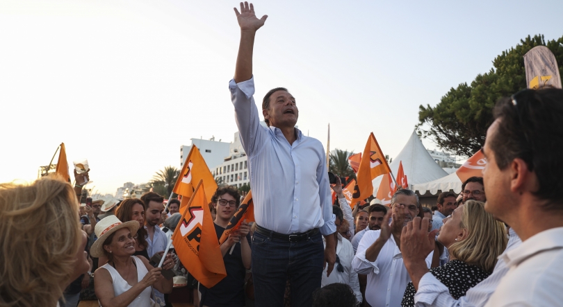 Imagem de Governo aprova hoje plano para a floresta a 25 anos