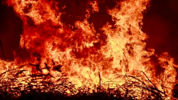 Imagem de Fogo que começou em Arganil apresenta a maior área ardida de sempre em Portugal
