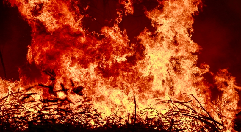 Imagem de Fogo que começou em Arganil apresenta a maior área ardida de sempre em Portugal