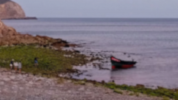Imagem de Seis migrantes que chegaram ao Algarve levados para centros temporários
