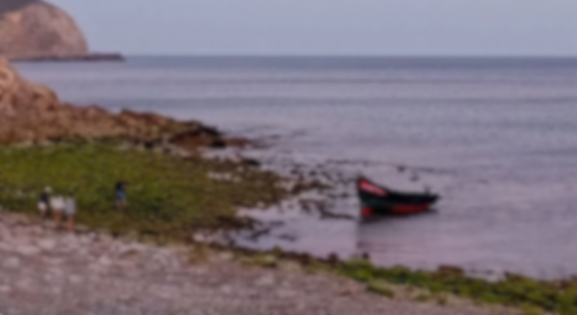 Imagem de Seis migrantes que chegaram ao Algarve levados para centros temporários