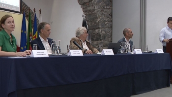 Imagem de Universidade da Madeira tem dois projetos de estudo do vinho (vídeo)