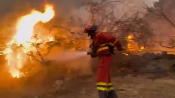 Imagem de Espanha, Grécia, França e Itália combatem incêndios (vídeo)
