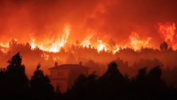 Imagem de Fogos já consumiram mais de 172 mil hectares este ano