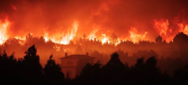 Imagem de Fogos já consumiram mais de 172 mil hectares este ano