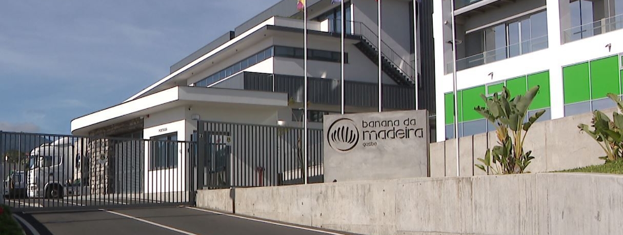 Imagem de GESBA pagou coima de 30 mil euros à Autoridade da Concorrência