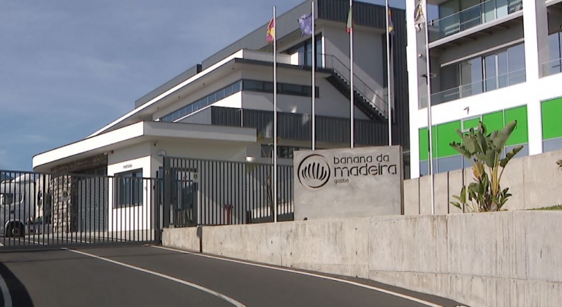 Imagem de GESBA pagou coima de 30 mil euros à Autoridade da Concorrência