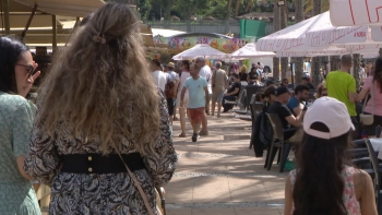 Imagem de Gastronómica de Machico gerou bom negócio (vídeo)